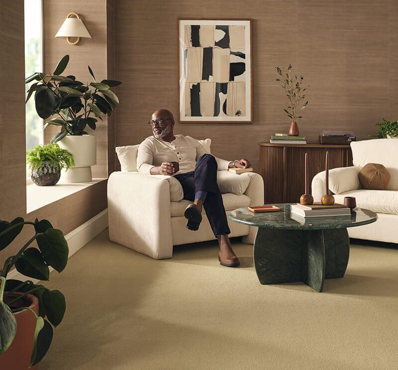 blog 539 velocityjan26carpetwarmplants | Carpetland USA