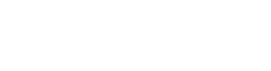 Bruce Logo White | Carpetland USA