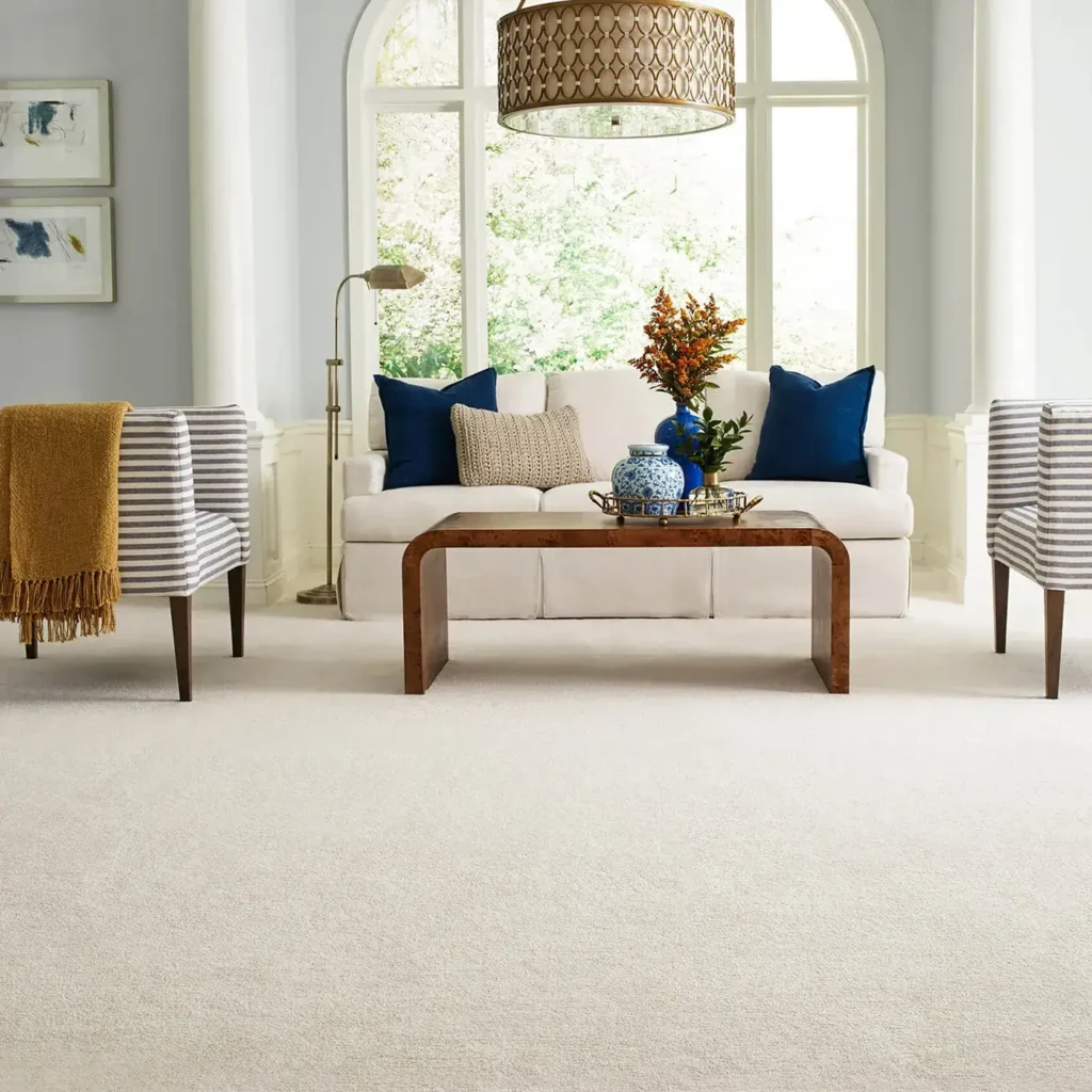 Carpet Inspiration Gallery 3 | Carpetland USA