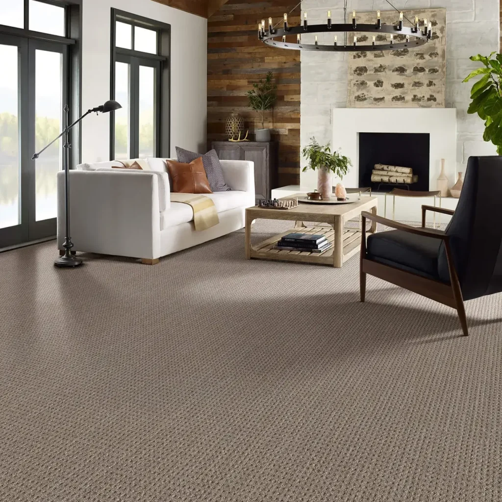 Carpet Inspiration Gallery 4 | Carpetland USA