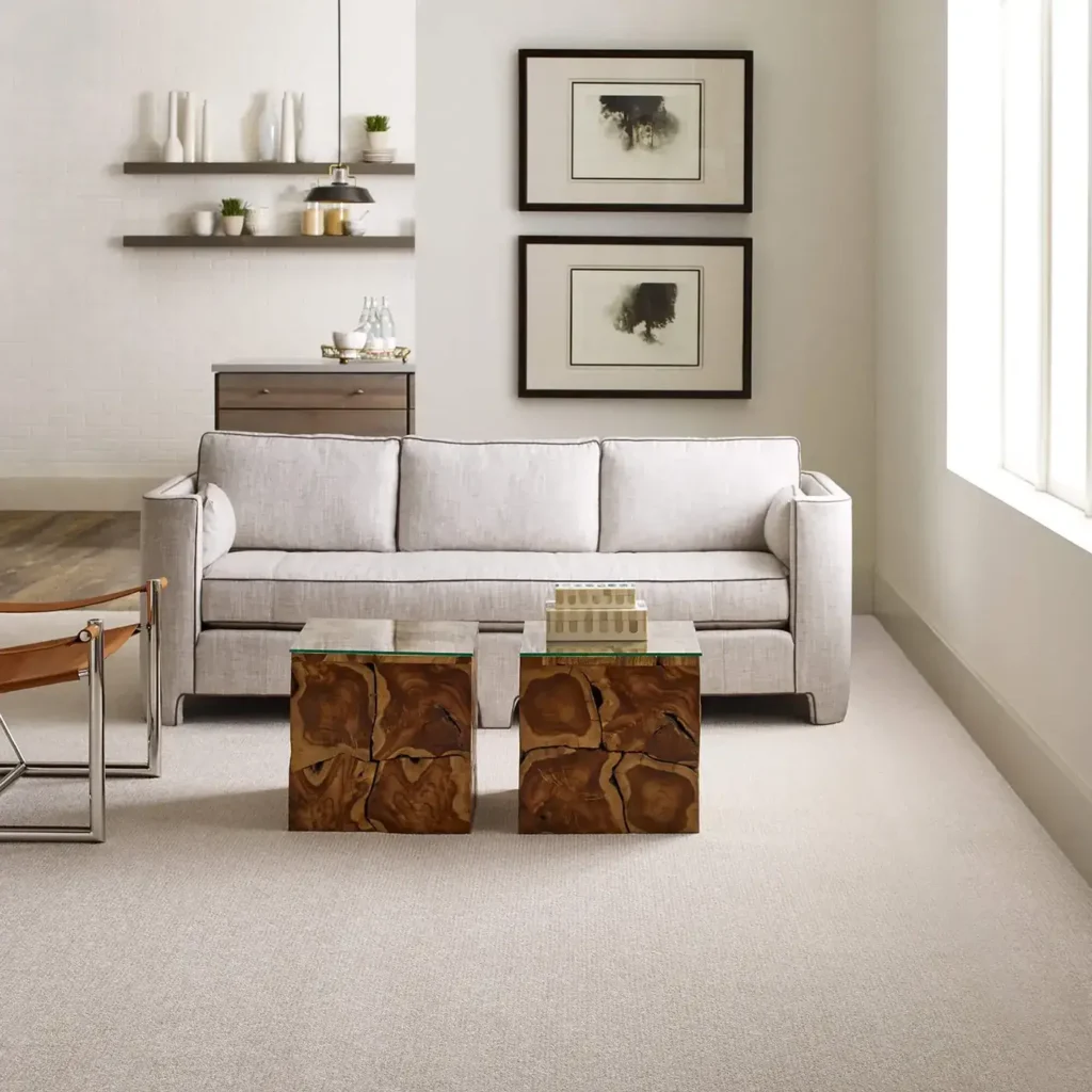 Carpet Inspiration Gallery 8 | Carpetland USA