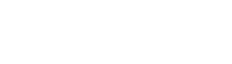 Dixie Home Logo 2023 White | Carpetland USA