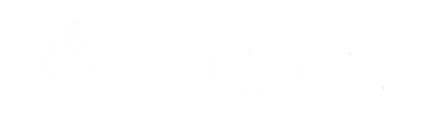 Louzan logo e1774541772750 | Carpetland USA